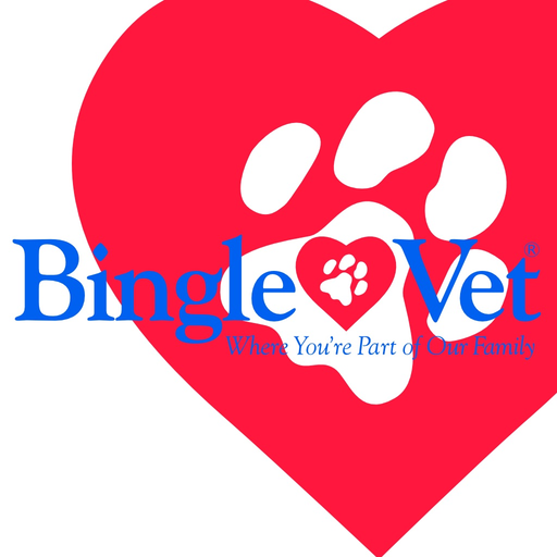 Bingle Vet app icon