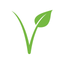 Swissveg icon