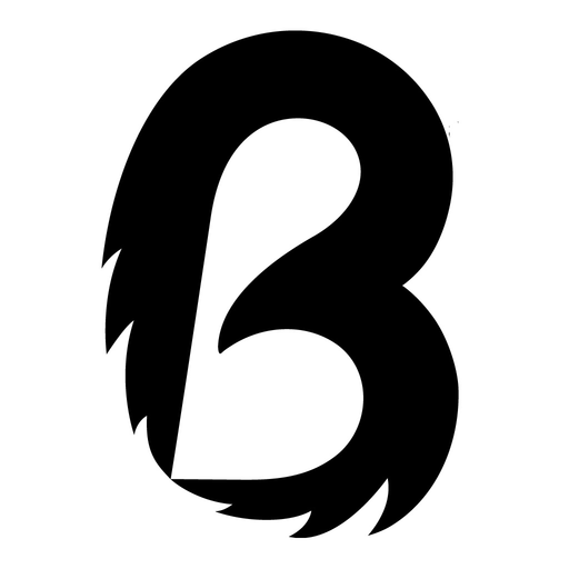 Buzzard – Politik für Schule app icon