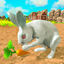My Rabbit Bunny Simulator icon