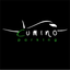 CuminoParking icon
