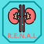 Urology RENAL Nephrometry icon