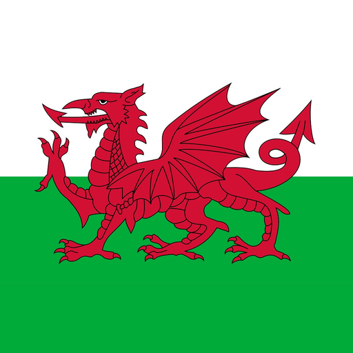 Welsh-English Dictionary app icon