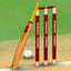 Cricket World Domination icon