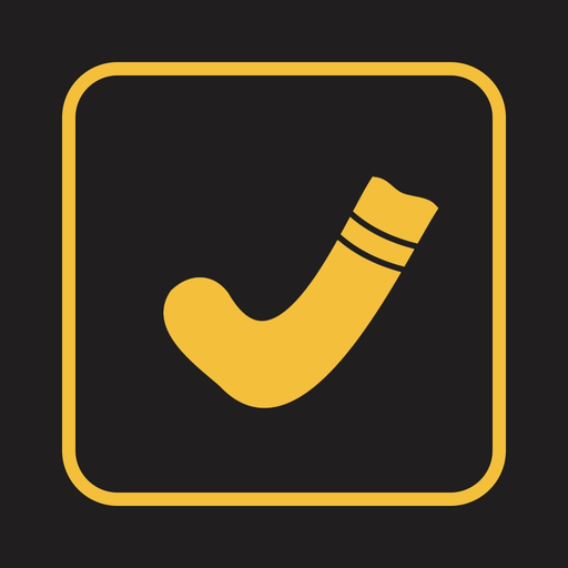 AYellowSock MDVR app icon