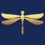 Barre Fly Fitness icon