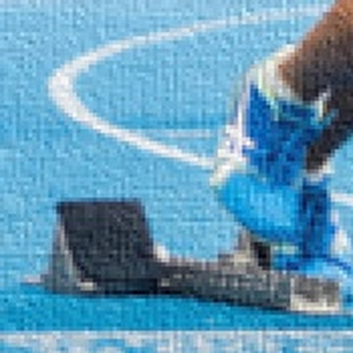 LAPS - Sportgruppenverwaltung app icon