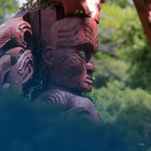 Te Kūaha app icon