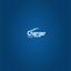 Charger Tracking icon