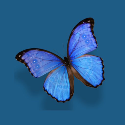 Dividia Control Center app icon