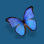 Dividia Control Center icon