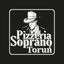 Soprano Toruń icon