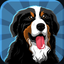 Bernese Mountain Dog Emoji icon