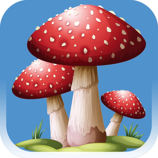 Forest Mushroom app icon