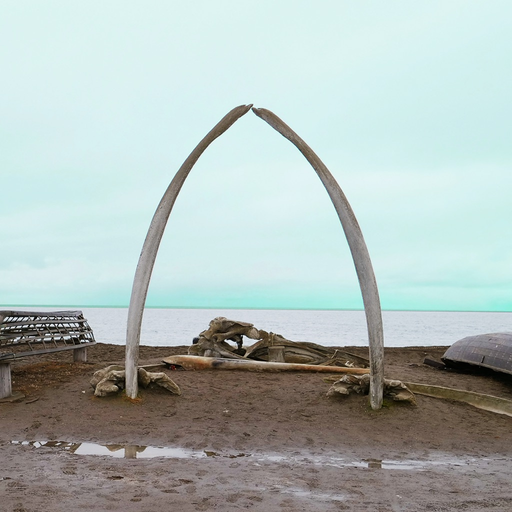 Iñupiat app icon