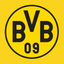 BVB icon