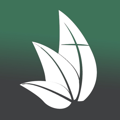 IBVN app icon