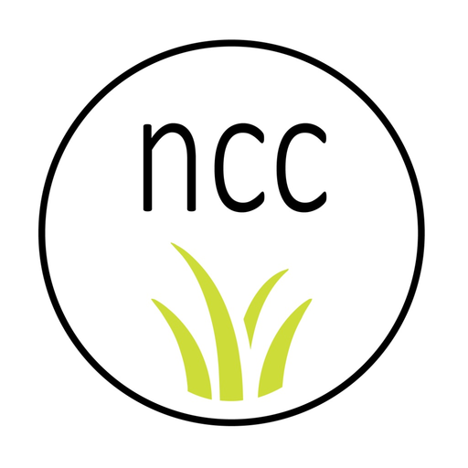Nueva Creacion Church app icon