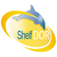 ShelfDor icon