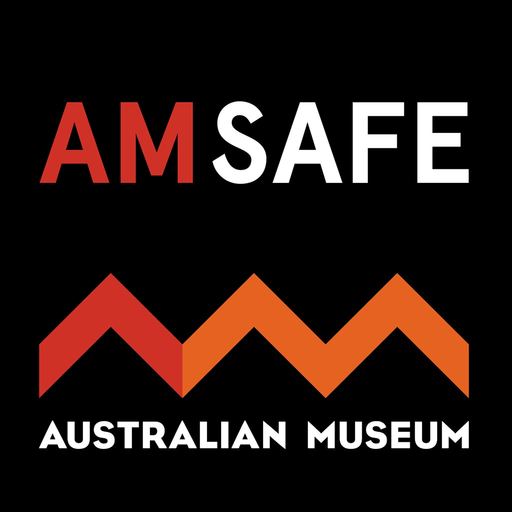AM Safe app icon