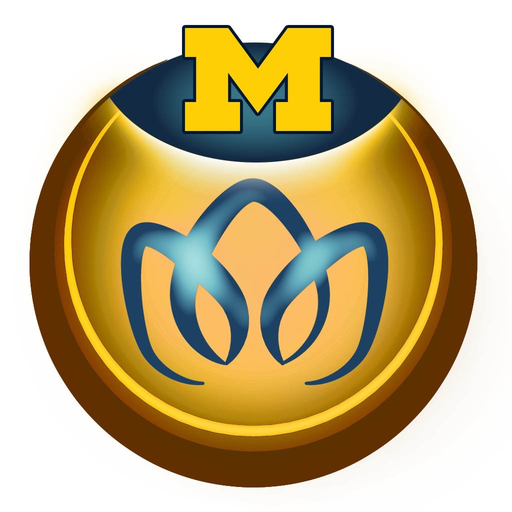 MeTime PainRelief app icon