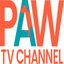 PAW TV icon