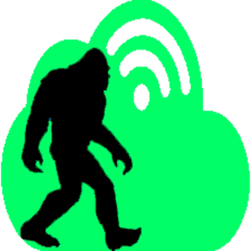 BigfootCloud Cam app icon
