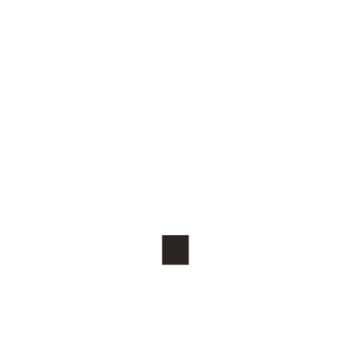 Private Journal: Punkt app icon