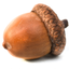 Acorns Language App icon