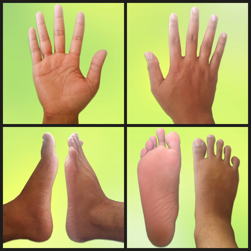 Reflexology Areas app icon