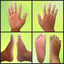 Reflexology Areas icon
