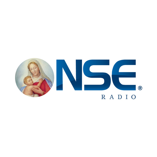 NSE Argentina app icon