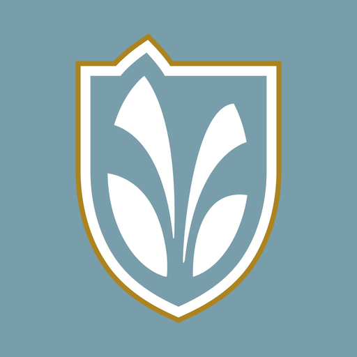 Team Springs app icon