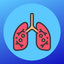 Pulmonary Embolism Score icon