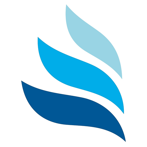 BlueDomain Go app icon