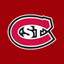 SCSU Huskies icon