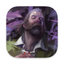 Disco Elysium - The Final Cut icon