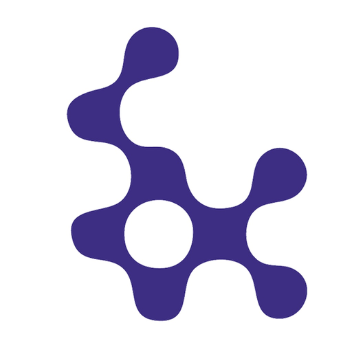NetSocial app icon