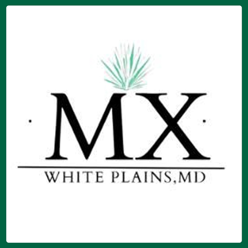 Mex Restaurant app icon