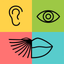 Audio-Visual Dictionary icon