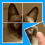 Unpuzl Kidz icon