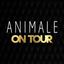 Animale - Moda Feminina icon