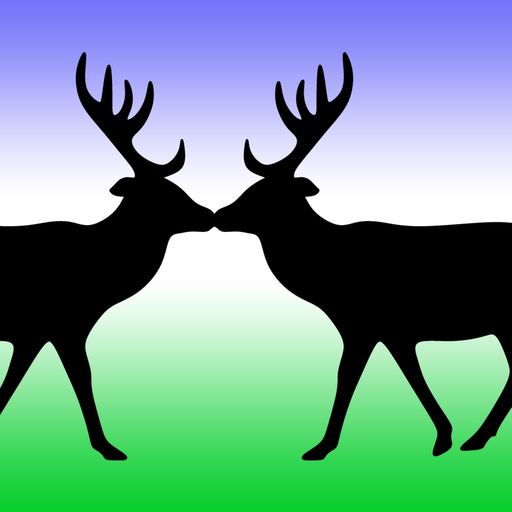 Symmetry Video Camera app icon