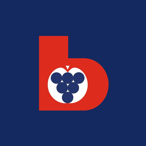 Beratungsring App (neu) app icon