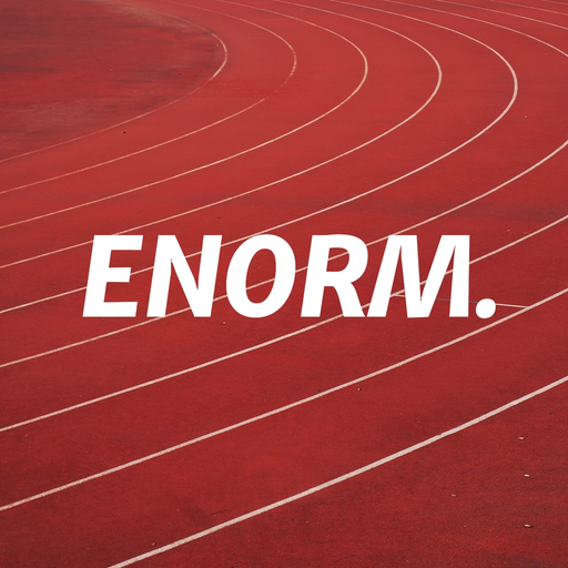 Enorm app icon