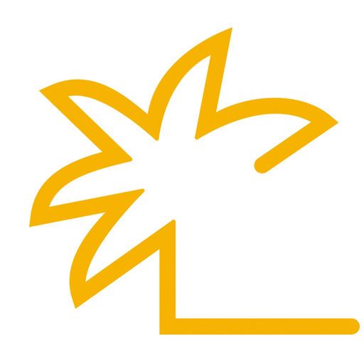 Importaco Connect app icon