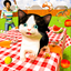 My Small Cat Simulator icon