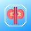 Kidney Stone Scoring icon