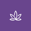 STRAIN icon