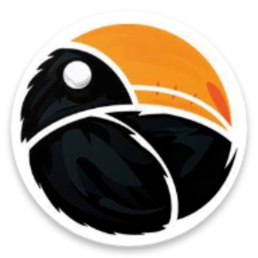 Big Radio Banja Luka app icon